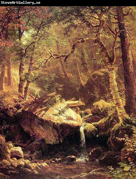 Albert Bierstadt The Mountain Brook